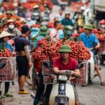 Vietnam Adventure Starting from ₹38,000 Book Now